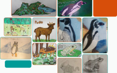 Concurso de dibujo Especies Nativas