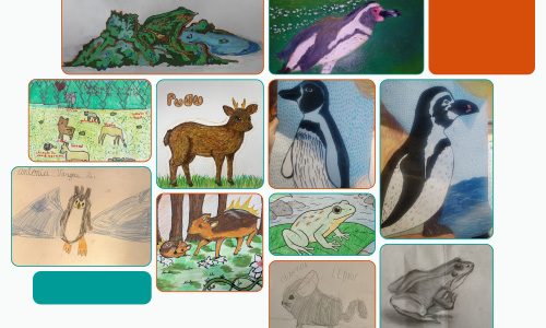 Concurso de dibujo Especies Nativas